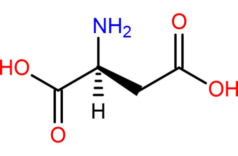 Aspartic Acid Structure - Science Notes and Projects