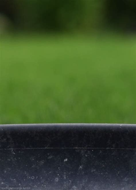 a small bird perched on top of a metal pole in front of a grassy field