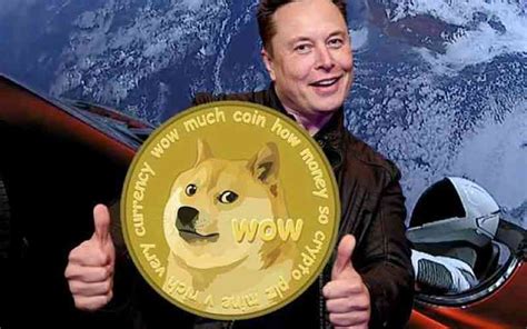 Dogecoin: Elon Musk có bao nhiêu DOGE?