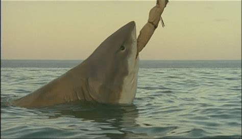 The Last Shark (1981) – Review | Mana Pop