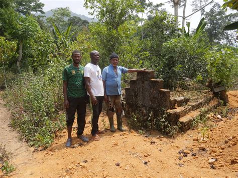 Deforestation in Cameroon: Who benefits from the treetops? (French ...