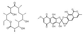 A note on Lipidomics Research with definition, introduction, challenges ...