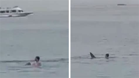 Horrifying Video Shows Man Killed in Shark Attack Off Coast of Egypt’s ...