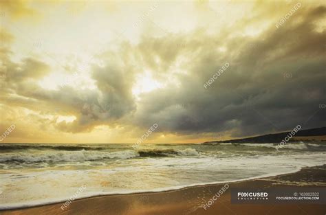 Sandy beach at sunset — clarity, background - Stock Photo | #163002532