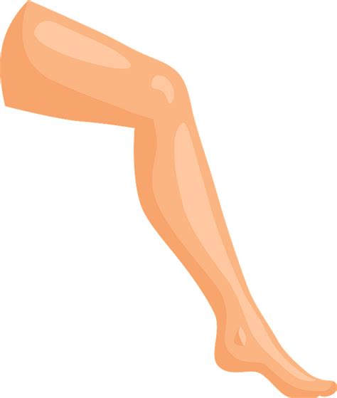 Leg clipart. Free download transparent .PNG | Creazilla