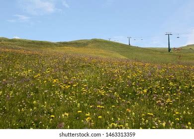 Seceda Mountain Range Hiking Area Stock Photo 1463313359 | Shutterstock