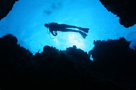 Cave and Cenote Diving - Travel Yucatan