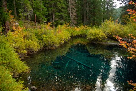 Clear Lake - Hike Oregon