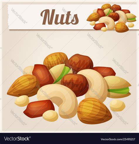 Nuts cartoon icon Royalty Free Vector Image - VectorStock