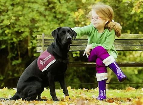 Hearing Dogs for Deaf People - Fordingbridge Town Council