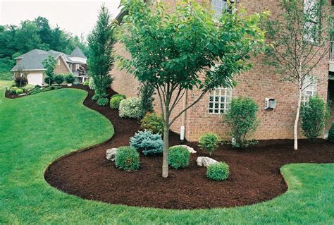 Landscaping mulch | Backyard landscaping, Front yard landscaping design, Garden mulch