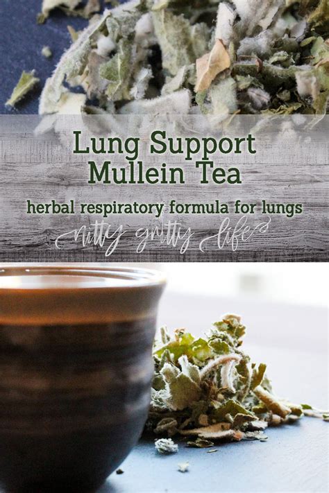 Mullein Leaf Tea: Health Benefits And Side Effects | Just Tea