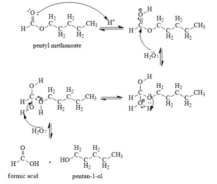 Draw the complete structural formula of the product acid hydrolysis of ...