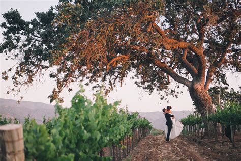 Aline + Brian: St. Barbara Greek Orthodox Church + Gainey Vineyard ...