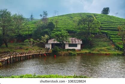 Vagamon Meadow Vagamon Hill Station Located Stock Photo 1083228824 | Shutterstock