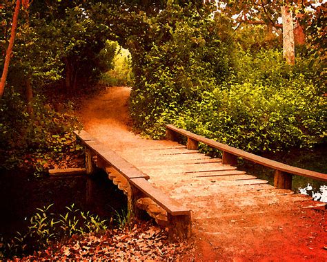 Wooden Footbridge Photograph by Timothy Bulone - Fine Art America