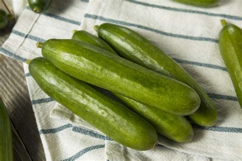 What Is a Persian Cucumber?