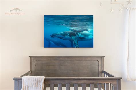 Ocean Nursery Wall Art / Baby Whale/ Whale Print / Ocean Baby - Etsy