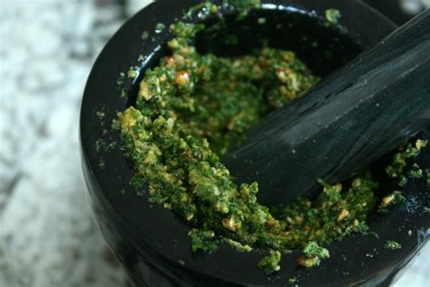 Chervil Pesto | The Leafy Cauldron Paleo Pasta Sauce, Easy Pasta Sauce, Paleo Sauces, Rub ...