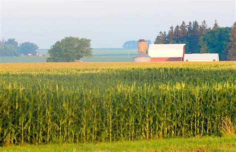 Iowa Farm Pictures, Images and Stock Photos - iStock