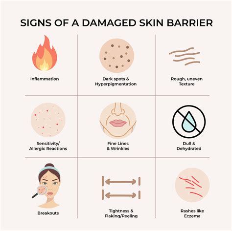 Why & How a skin barrier protects against various external threats