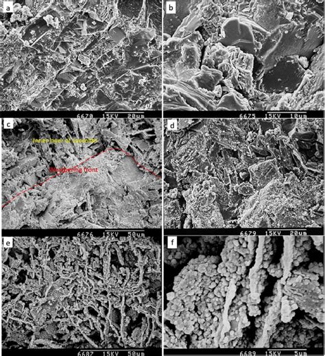 SEM morphology characteristics of fresh basalt and saprolite ...