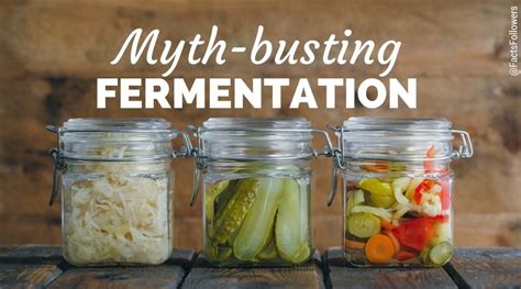 Microbial Misconceptions: Fermented Foods – Food Insight