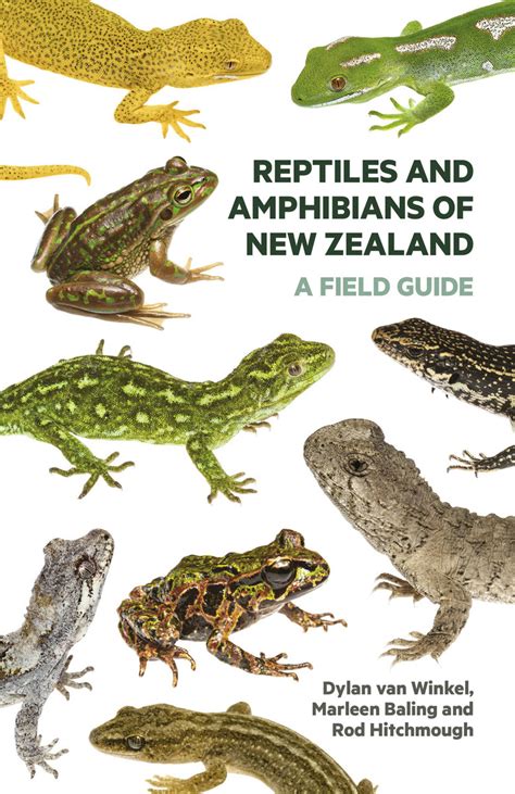 Reptiles and Amphibians of New Zealand: A Field Guide by Dylan van Winkel, Marleen Baling and ...