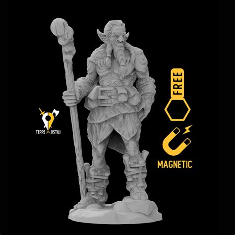 Firbolg miniature Dungeons and dragons, DnD , Age of Sigmar, W40k, 9th Age, kow, mordheim | RPG ...