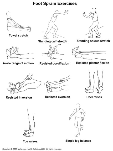 Pin by Nkechi Esan Marketing on Anatomy | Ankle exercises, Broken ankle ...