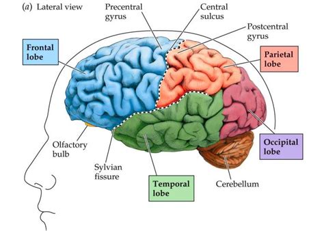 Technology is changing the Millennial brain - PublicSource | News for a ...