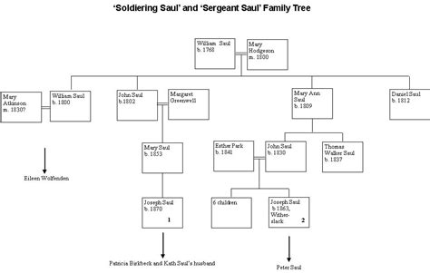 SOLDIERING SAUL MEETS SERGEANT SAUL