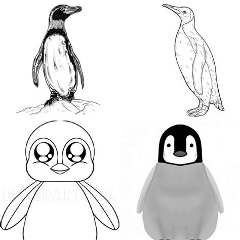 25 Easy Penguin Drawing Ideas - How to Draw a Penguin