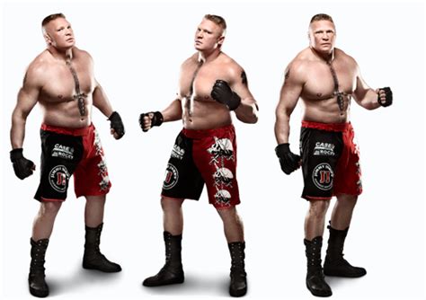 Brock Lesnar: WWE Makes Brilliant Move Allowing Superstar to Wear MMA Gear | Bleacher Report