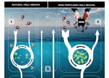 Ocean iron fertilization commercialization: bad idea; Continued research: good idea :: Ocean ...