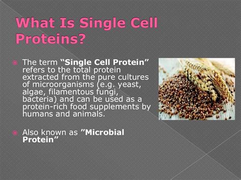 Single cell protein