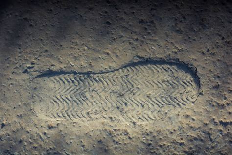 370+ Footprints On The Wet Cement Stock Photos, Pictures & Royalty-Free ...