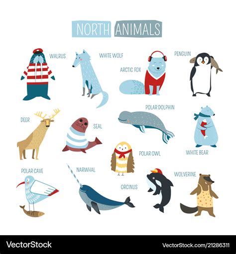 North or south polar animals cartoon design Vector Image