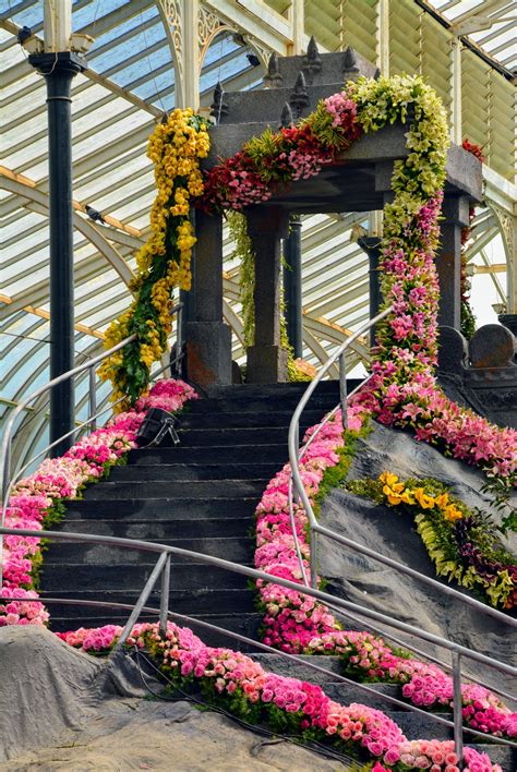 Lalbagh Flower show 2018!