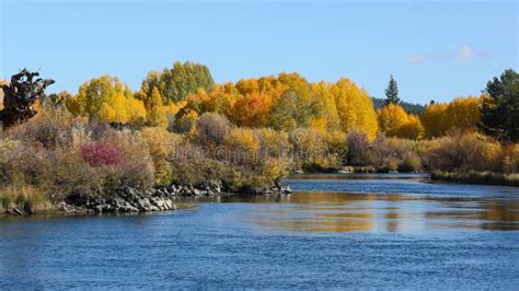 Fall Colors of Bend, Oregon Stock Image - Image of river, trail: 27500011