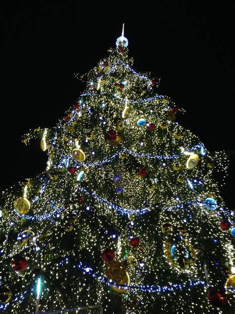 The Magnificent Annual Prague Christmas Tree🎄| Prague.org