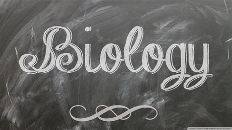 Biology 4K Wallpapers - Top Free Biology 4K Backgrounds - WallpaperAccess