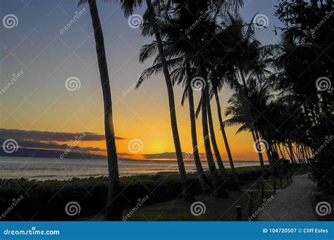 Lahaina Sunset on Maui with Palms Stock Image - Image of water, coast ...