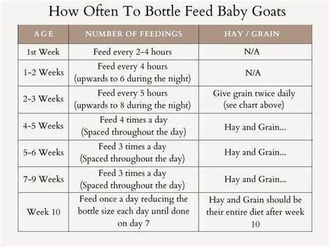 Baby Goat Feeding Chart