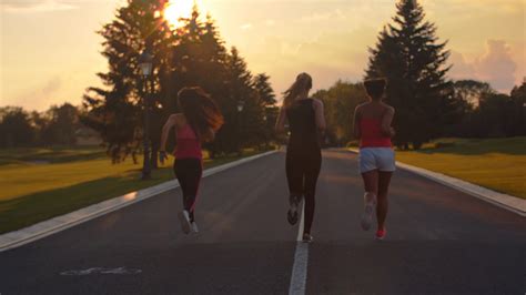 Group of women running at sunset. Back view of three fitness women running in park at sunset ...