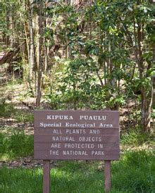 Biomes - Hawaii Volcanoes National Park