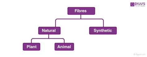 Synthetic and Natural Fibres - Definition, Examples, Types, Advantage, Videos and FAQs of ...