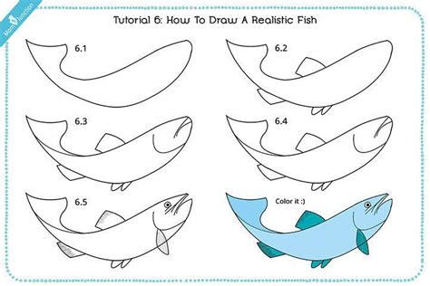 How To Draw A Fish Step By Step For Kids? #howtofish | Fish drawing for kids, Drawn fish, Fish ...