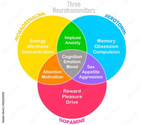 Vettoriale Stock Three neurotransmitters, dopamine, serotonin ...