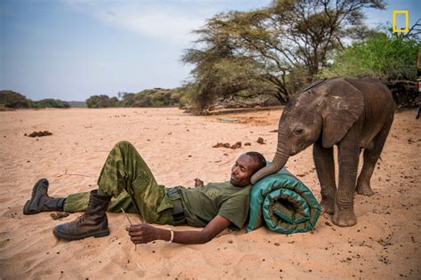 Heartwarming story and photos of a baby elephant sanctuary in Kenya | IBTimes UK